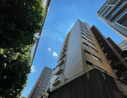 リフォーム完成しました！【ライオンズマンション東桜】★仲介手数料無料★（東桜小学校・冨士中学校）