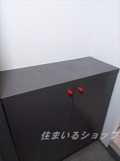 広島市安佐北区落合１丁目の賃貸マンションの玄関