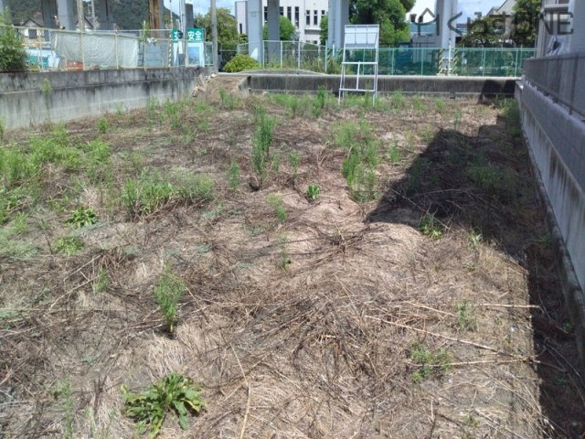 【外観】 | 姫路市広畑区蒲田5丁目／売土地