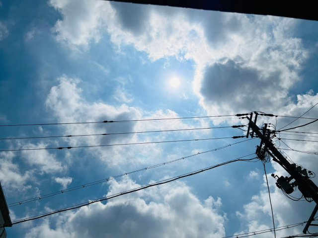 仲介手数料０円！！オンディーヌ花の木の展望