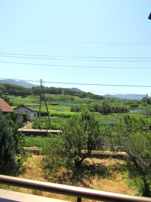 【展望】 | 再生住宅　笛吹市八代町岡 | 眺望