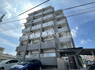 ルオーゴの画像