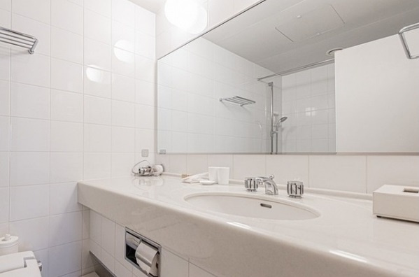 千代田区永田町２丁目の賃貸マンションのその他|洗面