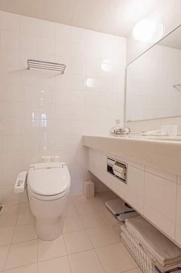 千代田区永田町２丁目の賃貸マンションのその他|トイレ