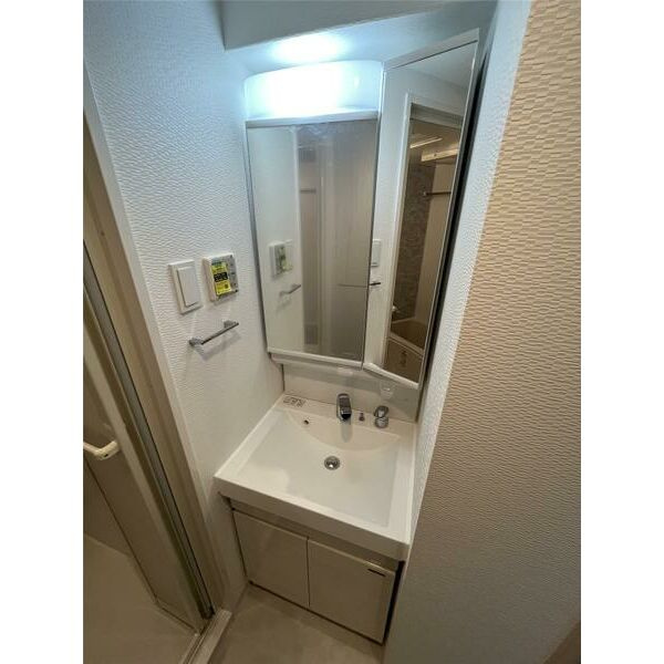 S-RESIDENCE難波大国町Deuxの洗面所
