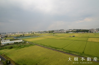 【展望】 | ペット飼育可　グランツ海老名　６階３DK　リフォーム済み　