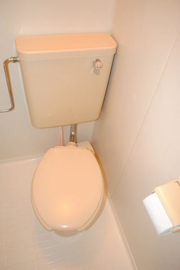 【トイレ】ビューライド川崎