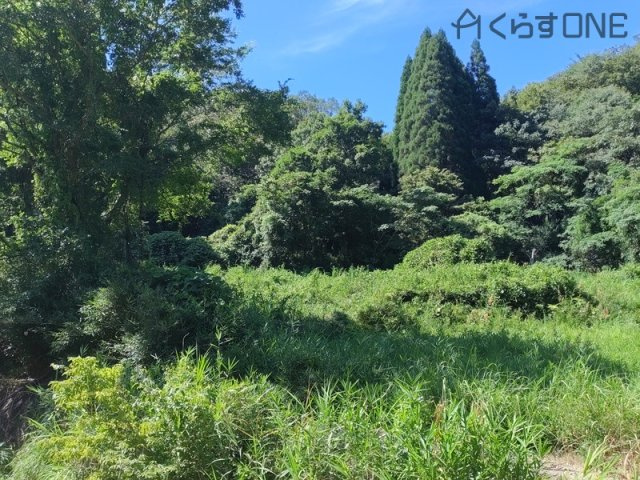 【外観】 | たつの市新宮町下莇原／売土地