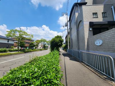ロイヤルハイツ西沢の周辺|前面道路