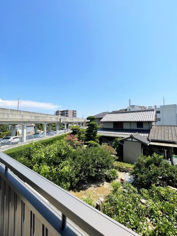 エヴァーグリーンの展望