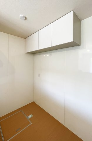 エヴァーグリーンのその他