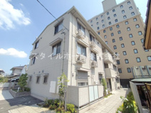 ギャレ花水木の画像