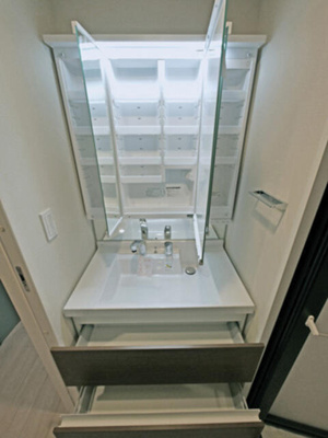 【独立洗面台】 | ルカナル門前仲町