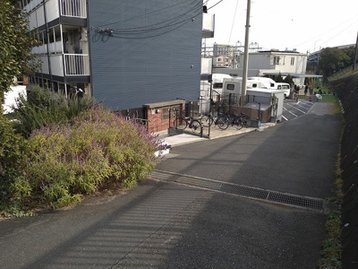 【周辺】 | 元住吉桜下