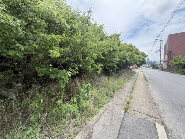 ◆敷地ＢＩＧな６８坪◆陽当たり良好の南向きの間口◆建築条件無し◆宇治市槇島町大町の前面道路含む現地写真|現地(令和８年５月撮影)