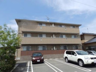 サード フォーチューンの画像