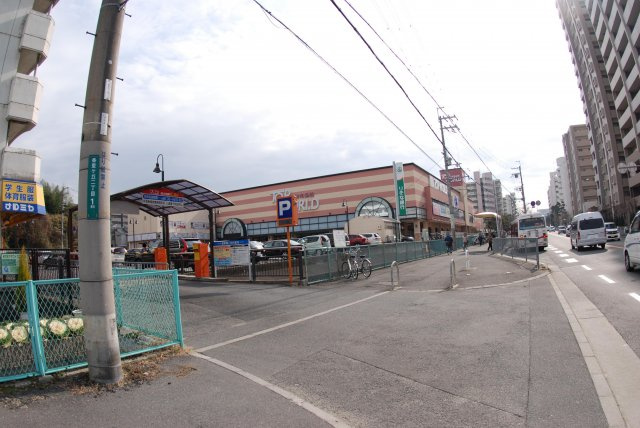 Ｍａｉｓｏｎ　つわぶきの周辺|近くのスーパー