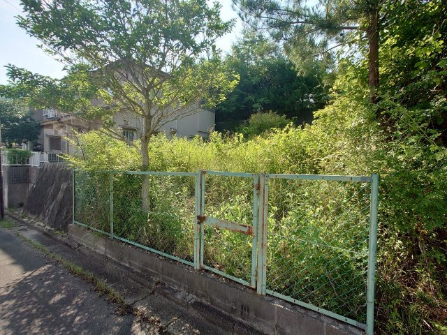 陽当たり良好の南向き■整形地■現況更地■建築条件なし売土地■亀岡市畑野町千ケ畑高橋の外観|現況 更地(令和７年６月撮影)