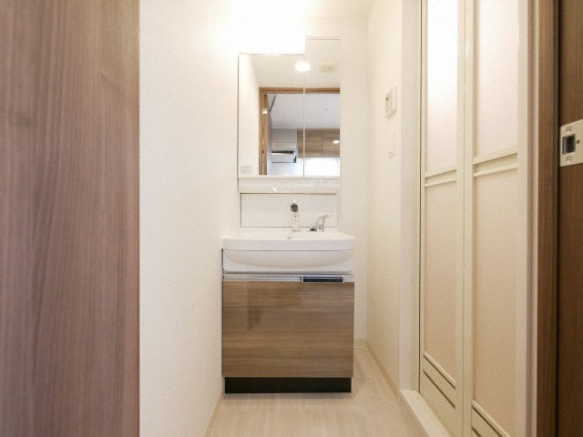 プレサンス難波インフィニティの洗面所