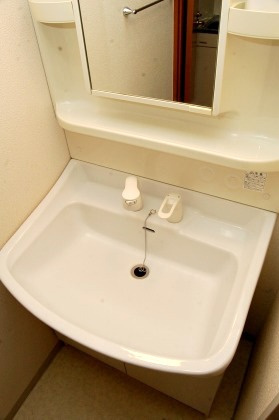 エイペックス心斎橋東の洗面所