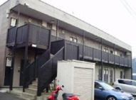 アムール下溝の画像