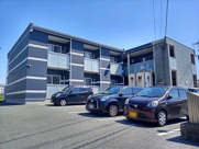 レオネクストアイリーブルーの画像