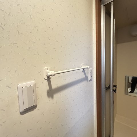 アシアスⅡのその他