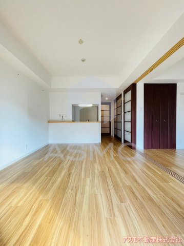 【内装】 | レシオ安堂寺 | 同マンション別部屋参考写真