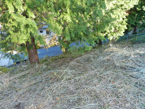 【外観】 | 伊豆急荻分譲地　売地