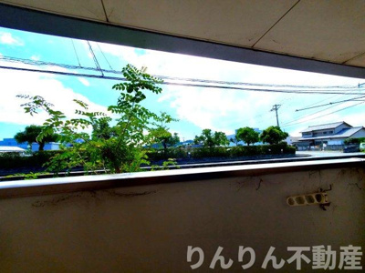 【展望】 | TOP's