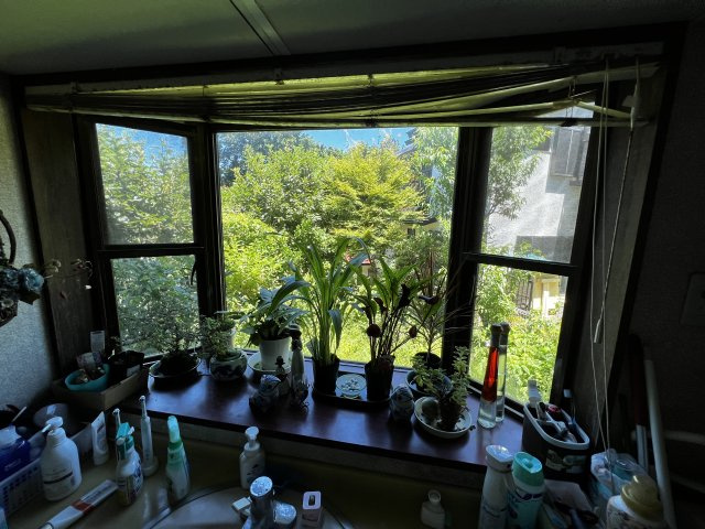 【内装】 | 南箱根ダイヤランド　売別荘