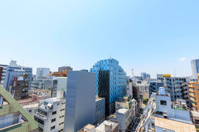ライオンズマンション亀戸駅前公園の展望