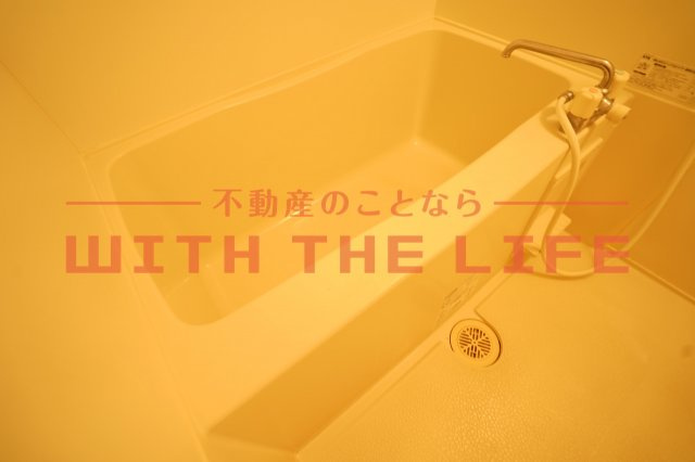 フローラリッシュ【10，000円キャッシュバック対象物件】の浴室|お風呂です