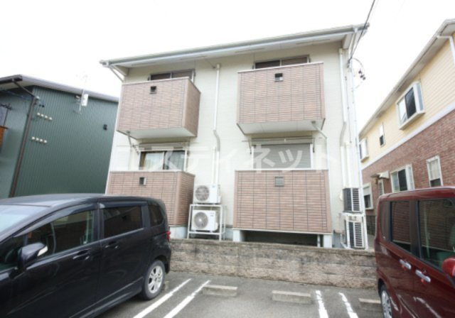 カモミール