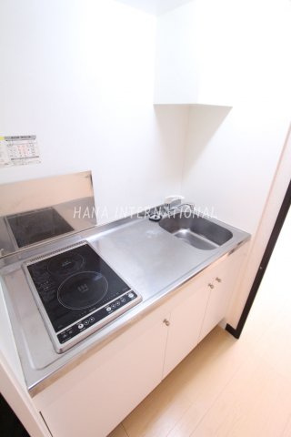 エルーセラハイツのキッチン