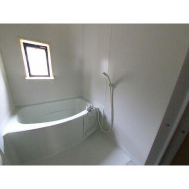 サンガーデン長嶺の浴室