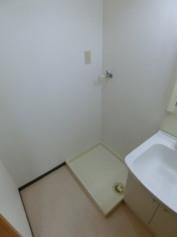 スカイマンションBの洗面所