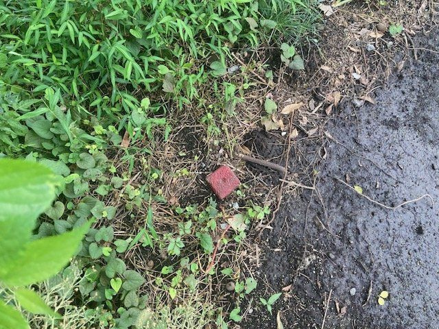 【その他】の画像