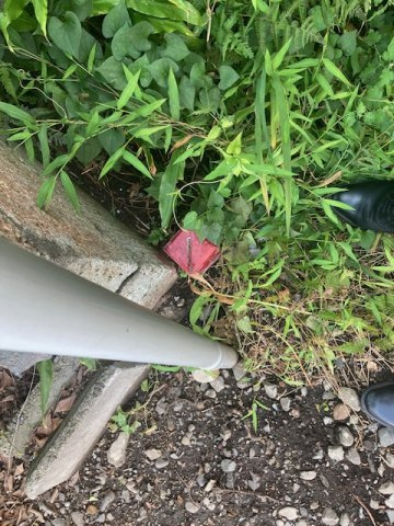 【その他】の画像