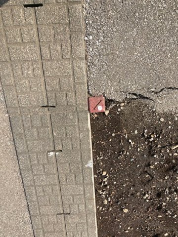 【その他】の画像