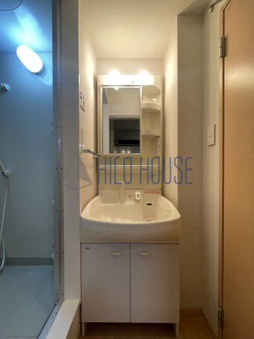 エリタージュⅡの洗面所