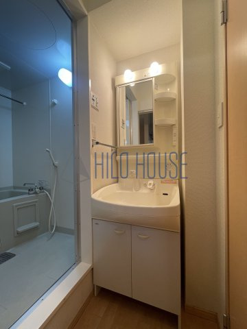 エリタージュⅡの洗面所