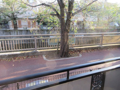 【周辺】 | リバーサイド桜