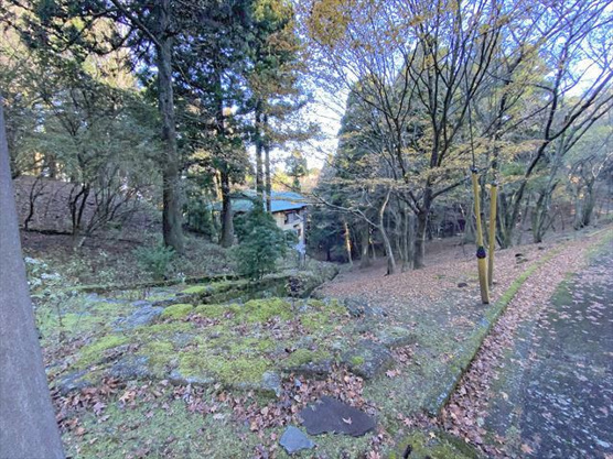 【庭】 | 東急天城高原別荘地　戸建