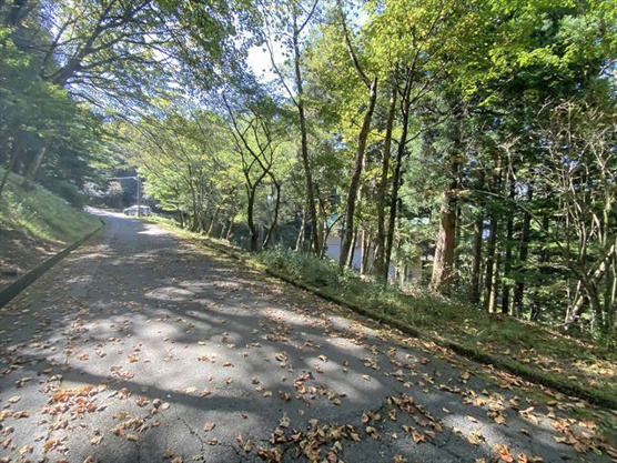 【前面道路含む現地写真】 | 東急天城高原別荘地　戸建