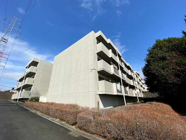 グリーンヒルソウブの画像