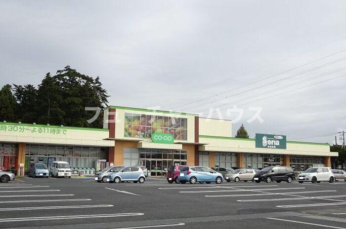 Ｄ－ｒｏｏｍウィット西原の周辺