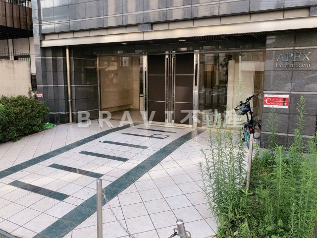 エイペックス上本町　BRAVI不動産のエントランス|【エイペックス上本町】落ち着いたエントランスです