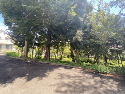 【展望】 | ◇湘南台駅平坦徒歩１２分の好立地！陽当たり良好◇藤沢市亀井野／中古戸建 | 向かい側は木々が生い茂る緑の多い景色となっております。夏場でもどことなく涼し気な感じがする目に優しい視界が広がります♪