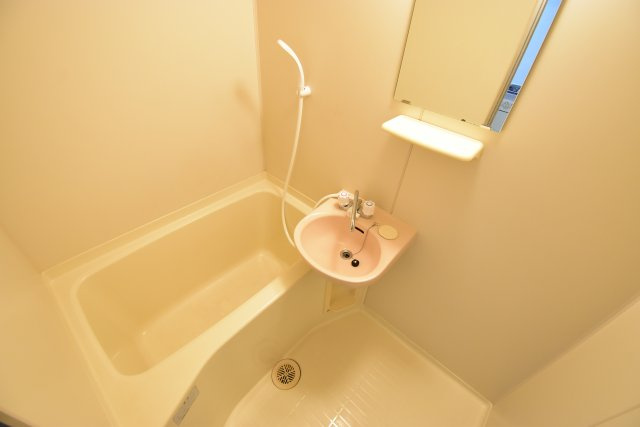 グランソシエ浪速IIの浴室